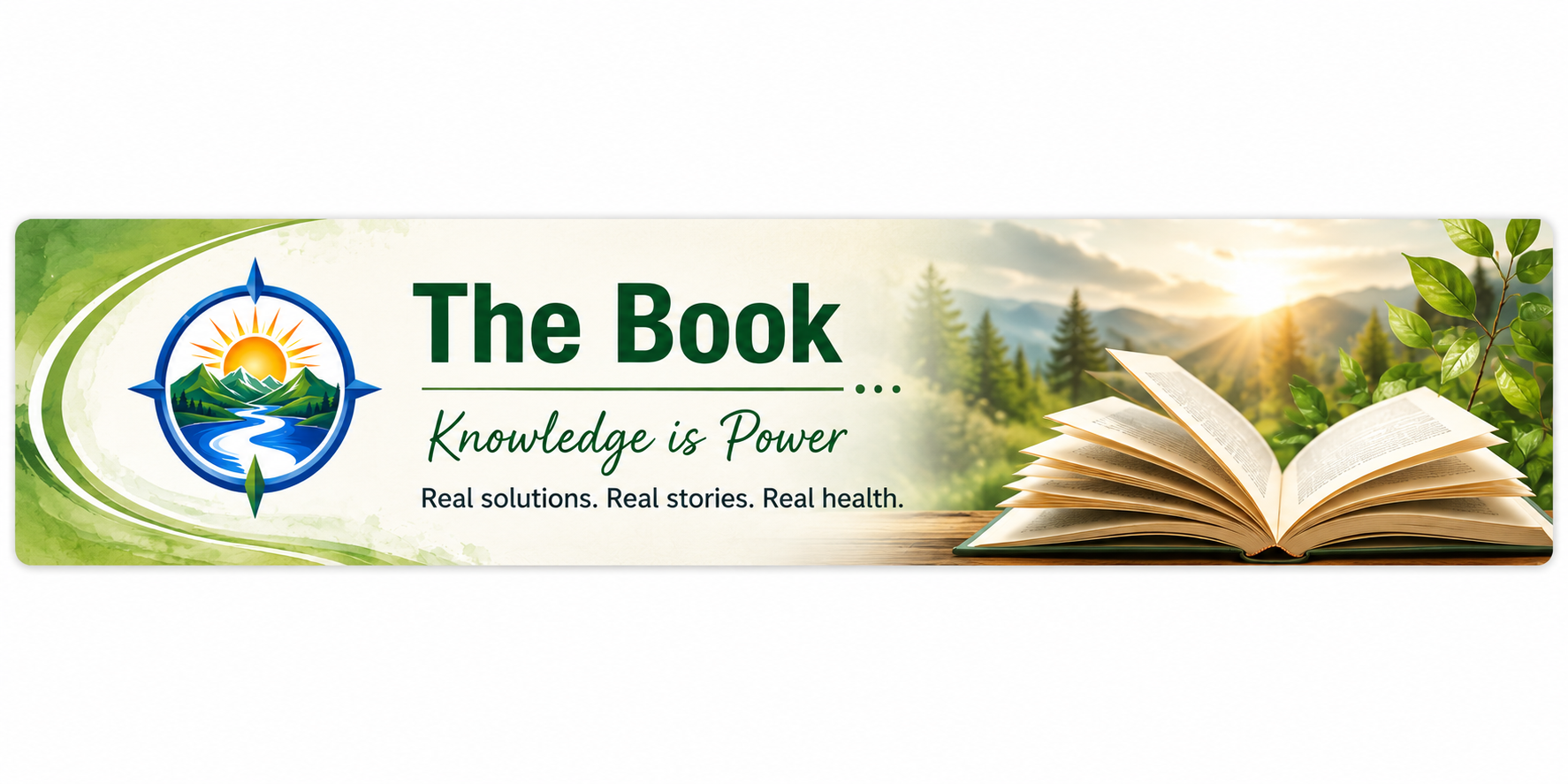 Insure Your Health Yourself - The Book