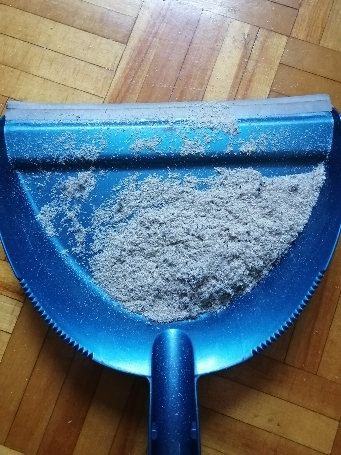 Dustpan containing skin shed during a severe period